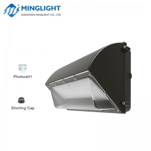 LED-ul pachetului de perete WPB2 80W