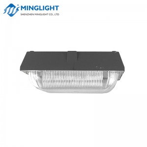 Lumina de baldachin LED CNPA 100W