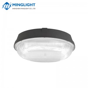 Lumina de baldachin LED CNPB 100W