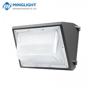 Pachet de perete LED WPB 80W